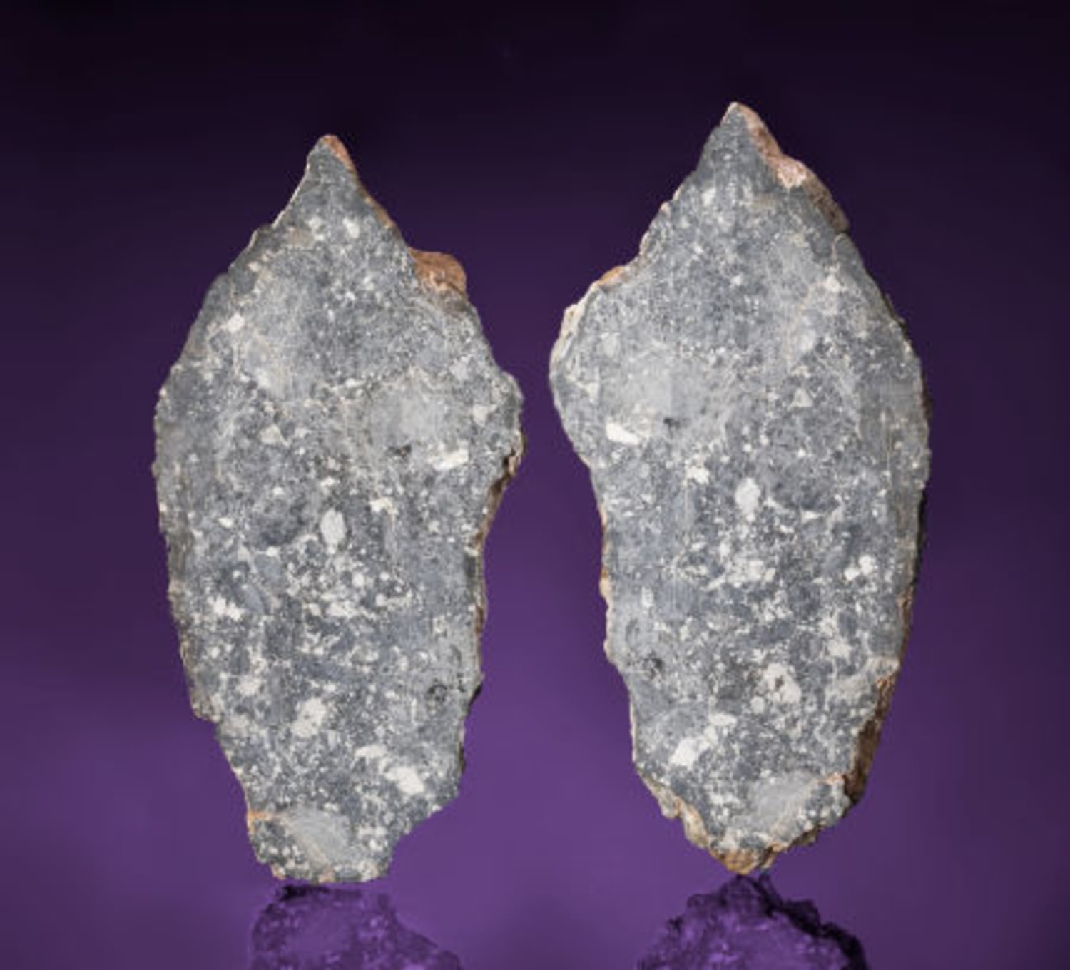 It's the biggest moon rock ever auctioned — so bring your cash