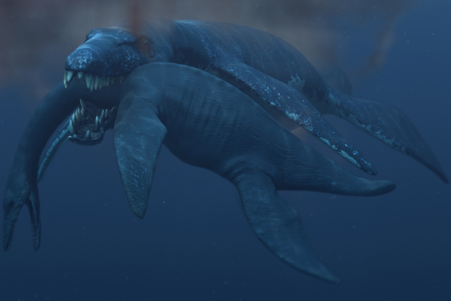 Ancient giant 'Predator X' sea monster finally gets a name