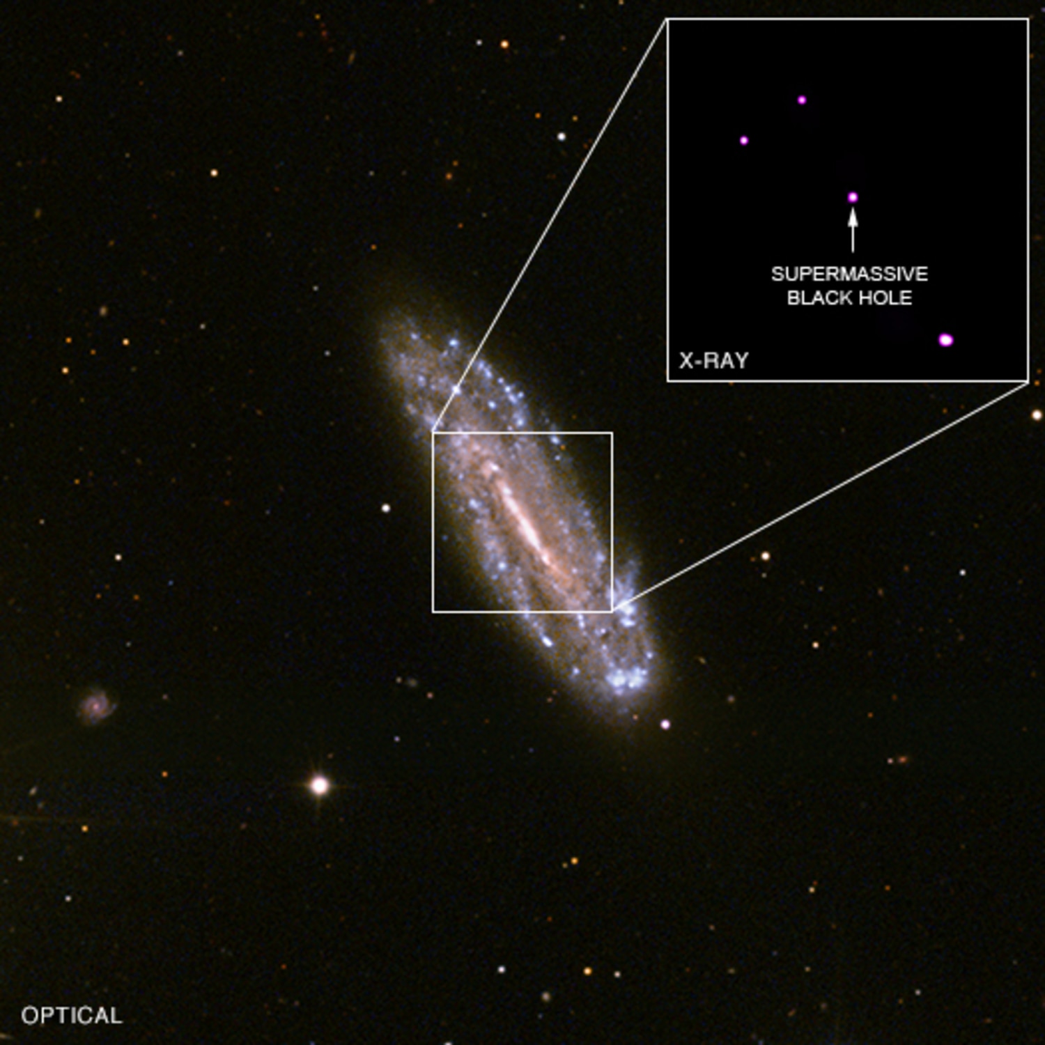 Mini' supermassive black hole is found in unlikely home