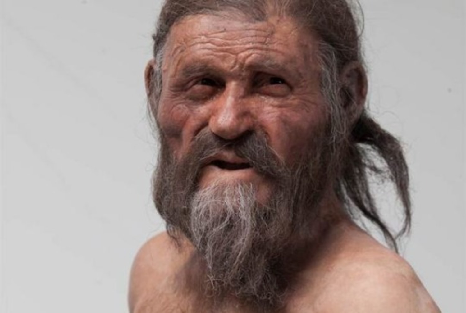 Iceman was Central Europe native, new research finds