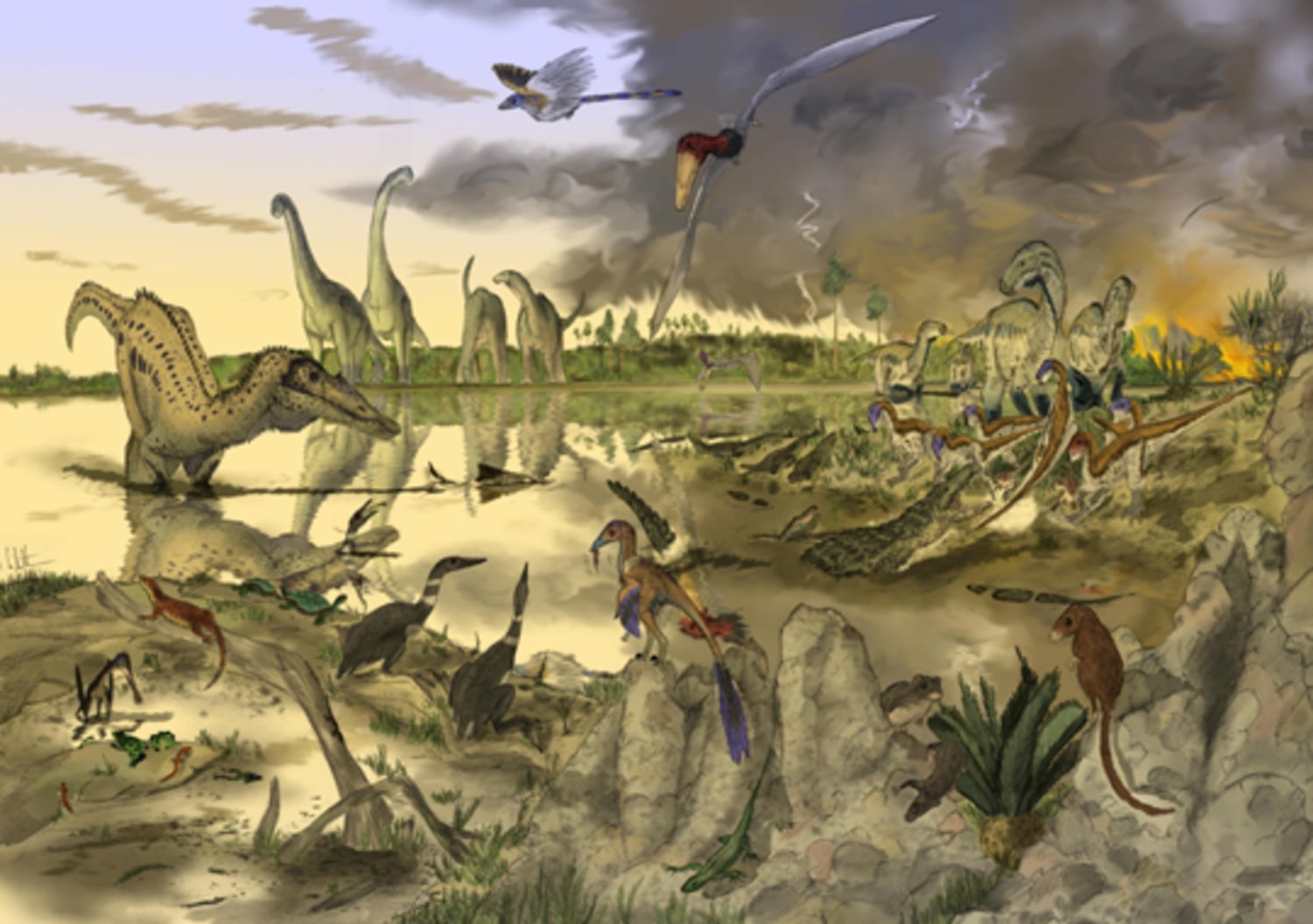 Dino Island' yields 48 new prehistoric animals Dino Island' yields 48 new prehistoric animals
