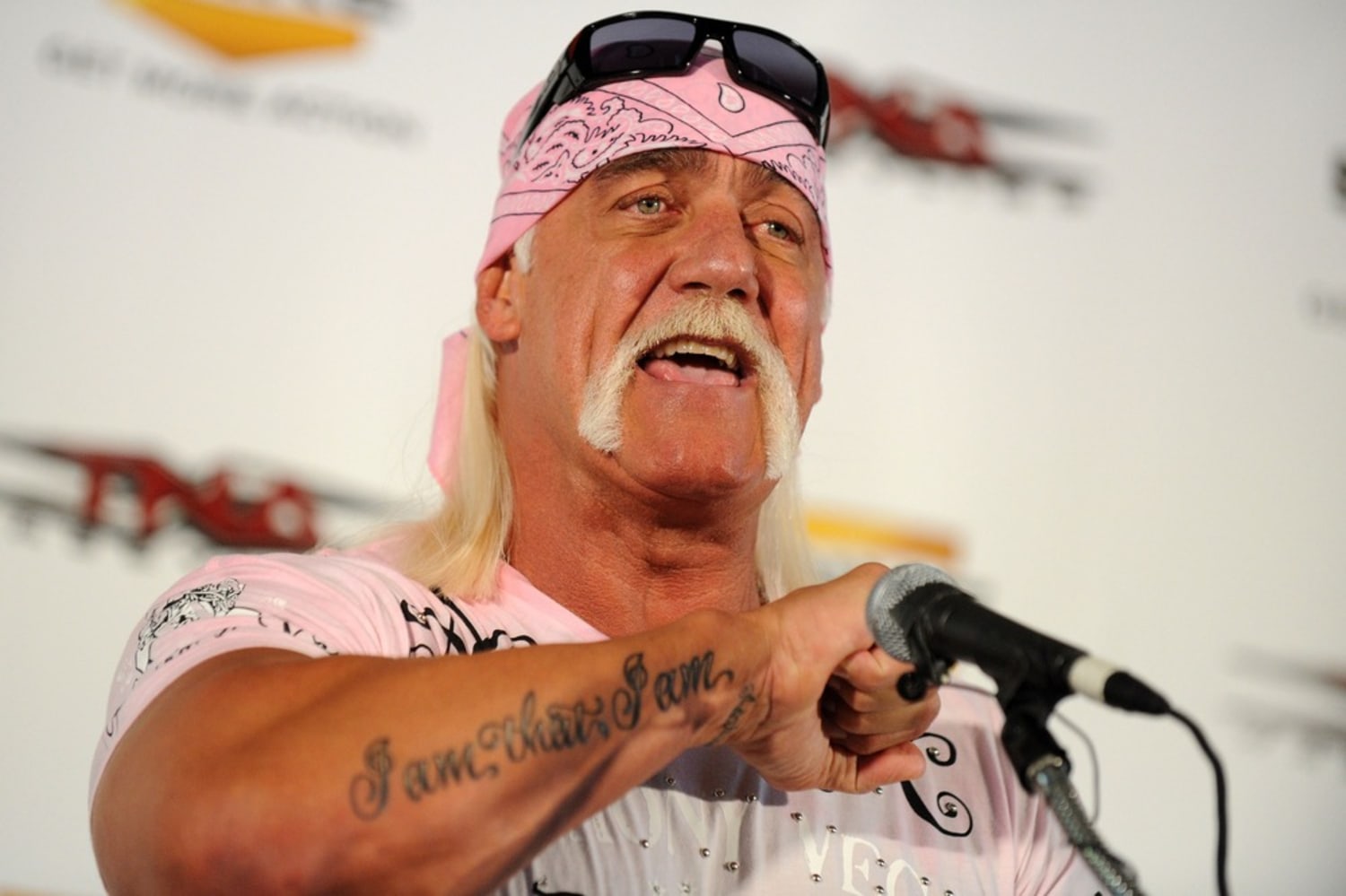 Hulk Hogan Tattoo  La mia Ombra