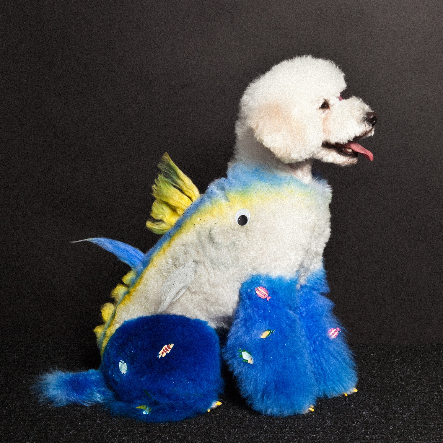 Dog Hair Art Memorial Hair Art | Home