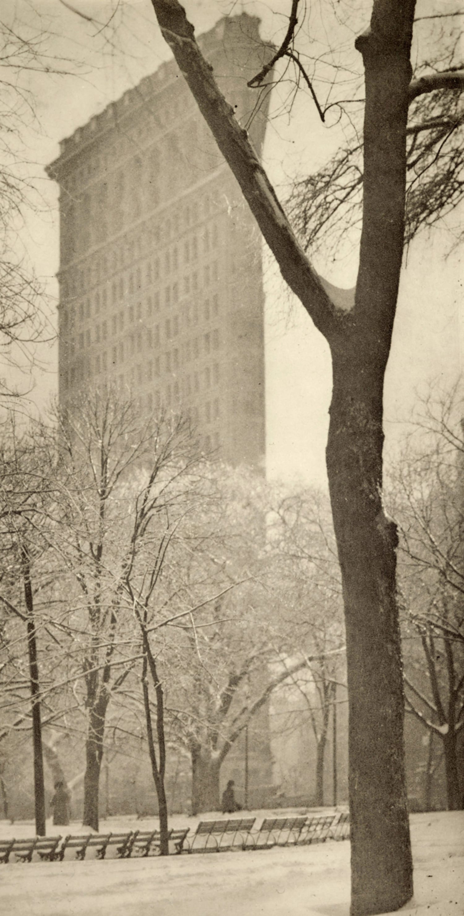洋書 ALFRED STIEGLITZ Alfred Stieglitz - New York