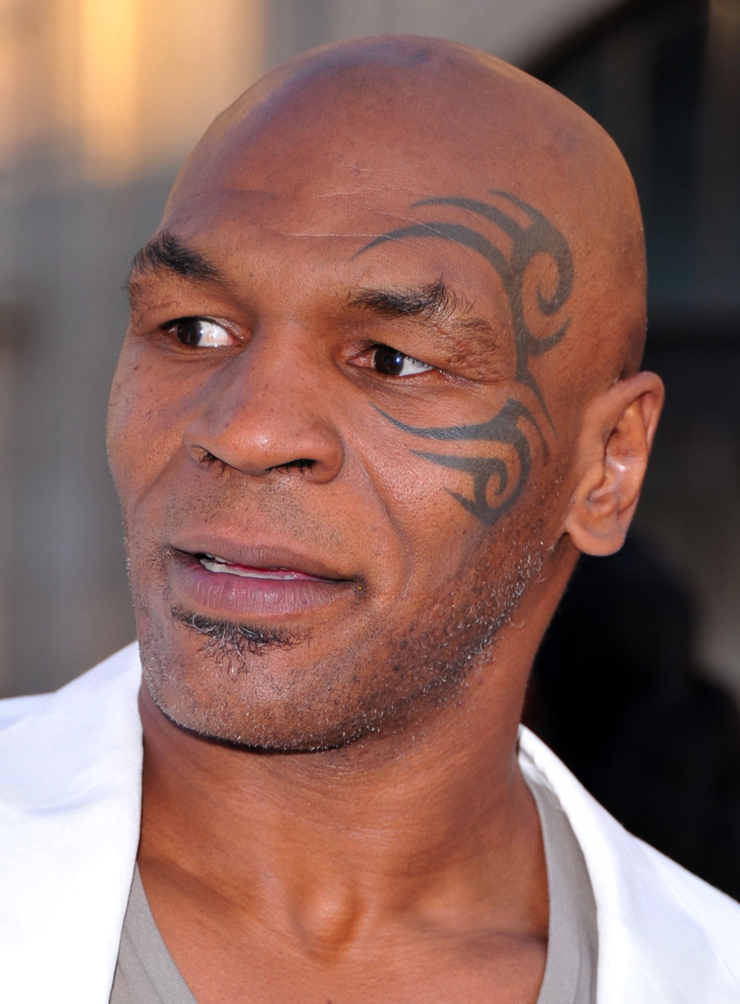 15 Celebs With Ridiculous Face Tattoos  PopCrunch  Mike tyson memes Mike  tyson Face the music