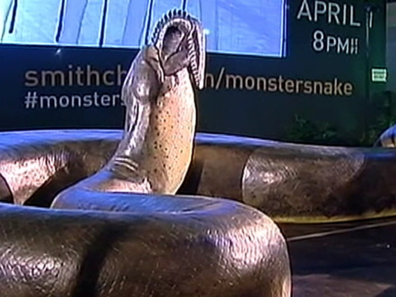 Prehistoric snake debuts in New York City