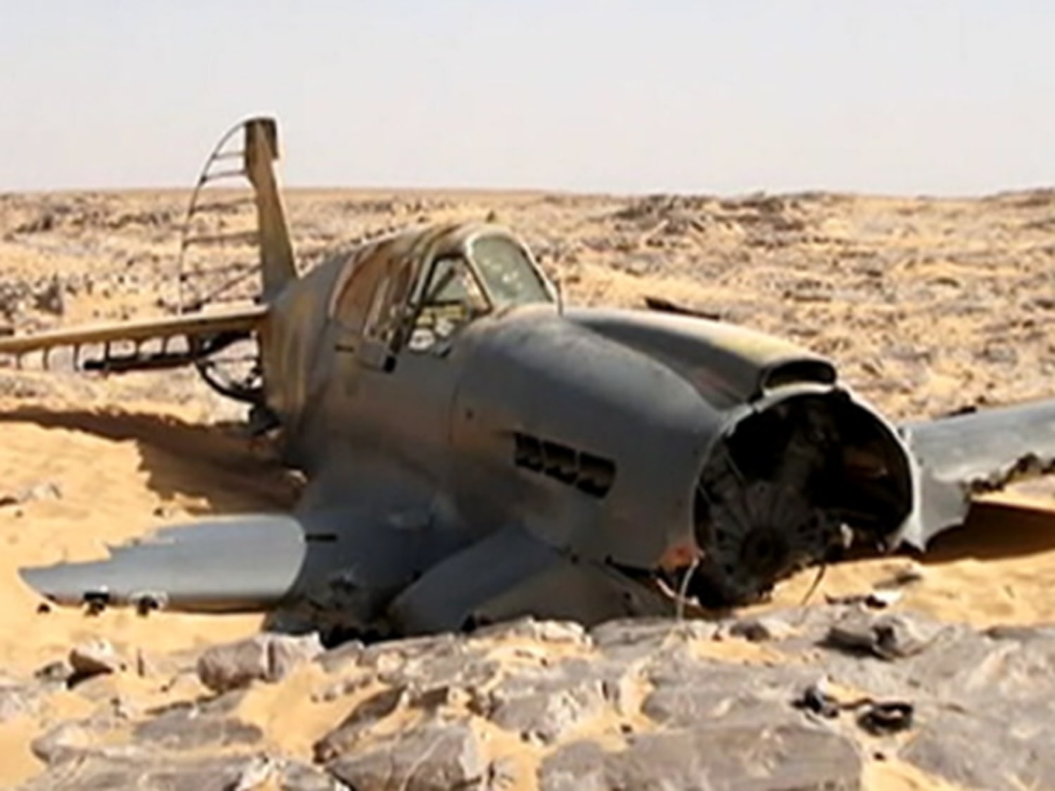 nn_10bwlms_plane_120511.jpg