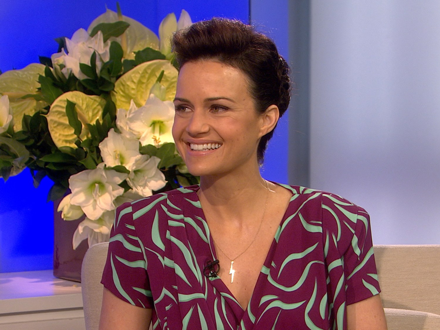 Carla Gugino Politieke Dieren