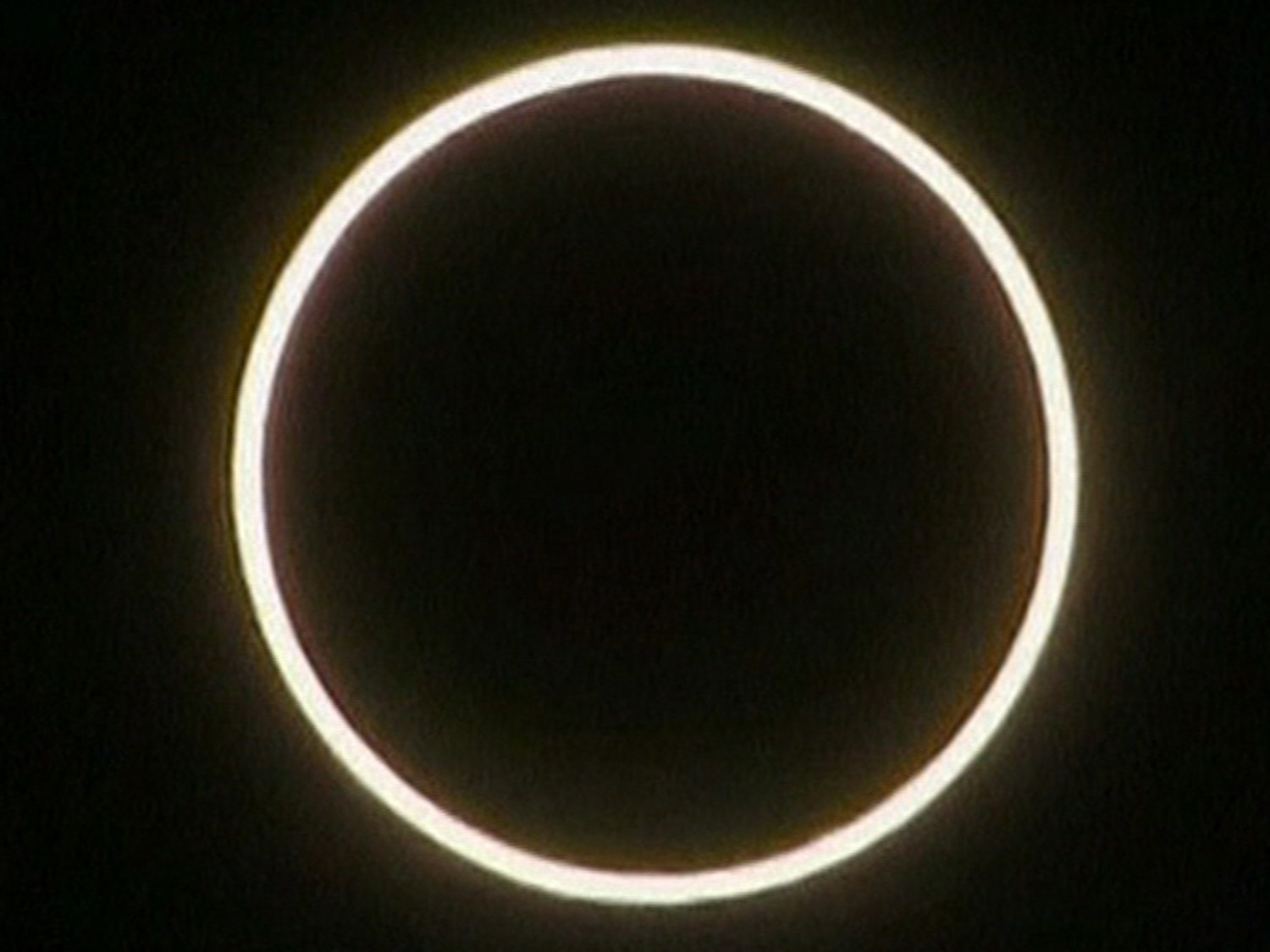アクセサリー ANNULAR ECLIPSE PIERCE アクセサリー ANNULAR ECLIPSE PIERCE ANNULAR ECLIPSE PIERCE