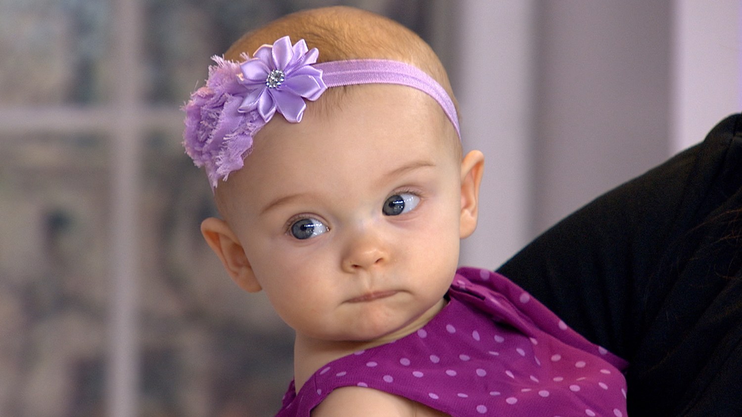 Gerber baby 2015 2025