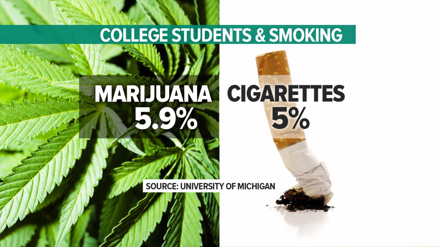 can chewing tobacco affect a breathalyzer Think you can trick a breathalyser with mouthwash or coffee? Think again. , Watch as we break down the biggest breathalyser myths. , #Andatech #BreathalyserMyths #DrinkDrivingAwareness #SafetyFirst can chewing tobacco affect a breathalyzer Think you can trick a breathalyser with mouthwash or coffee? Think again. , Watch as we break down the biggest breathalyser myths. , #Andatech #BreathalyserMyths #DrinkDrivingAwareness #SafetyFirst