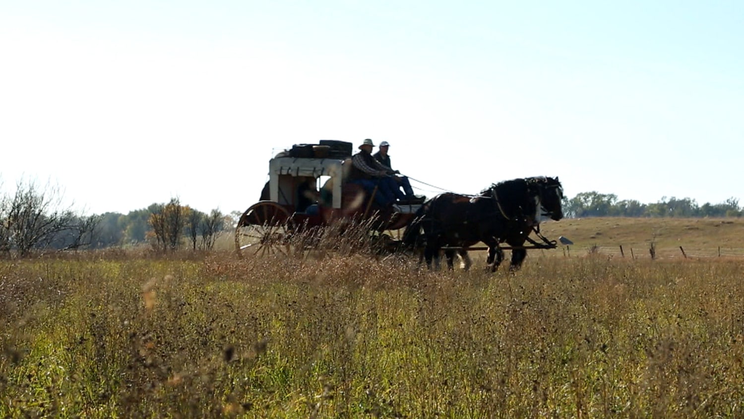 TODAY'S “Sundays with Harry” Highlights HWWS - Hansen Wheel and
