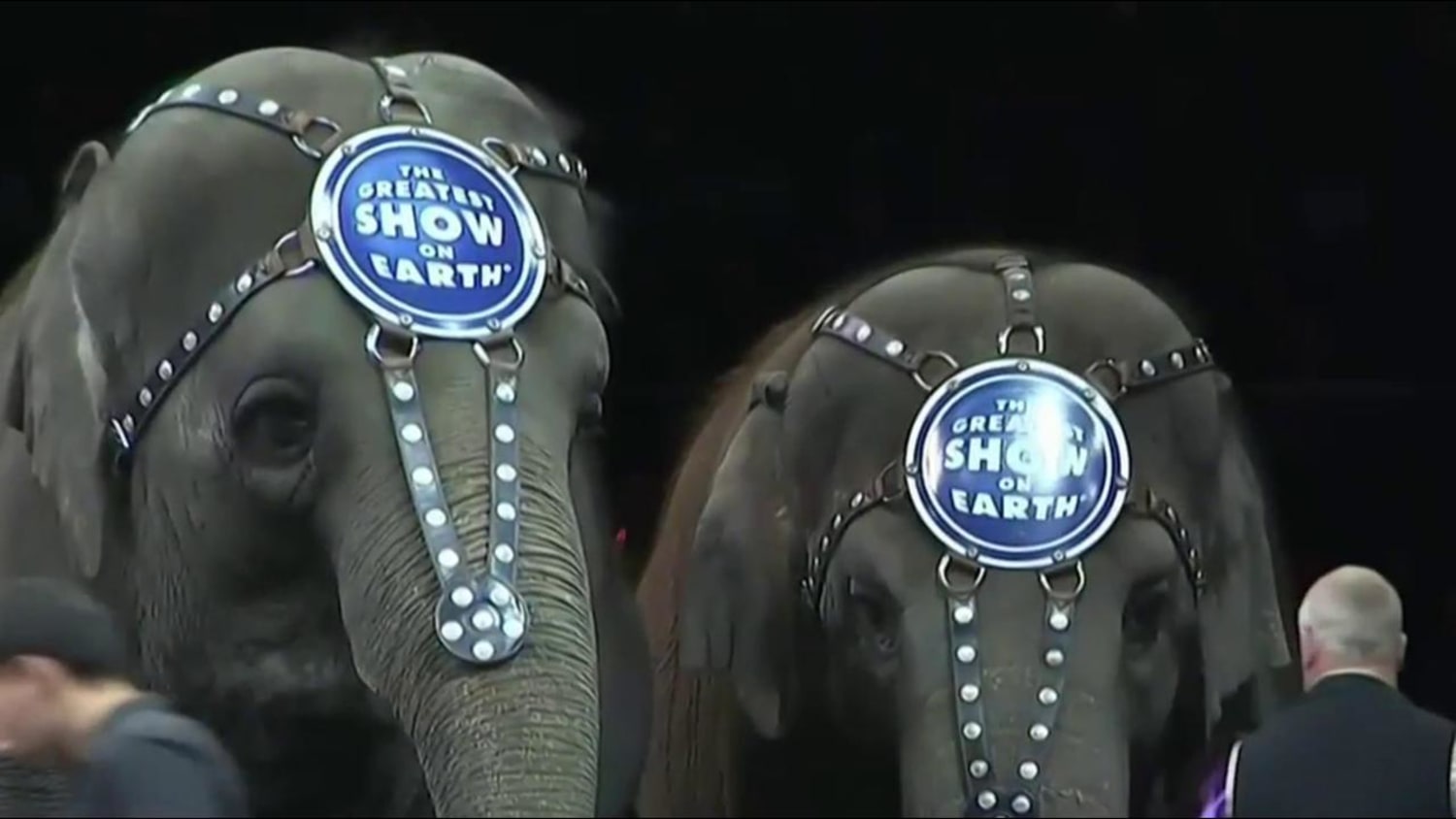 Ringling Bros. 'The Greatest Show On Earth' takes its final bow - The San  Diego Union-Tribune