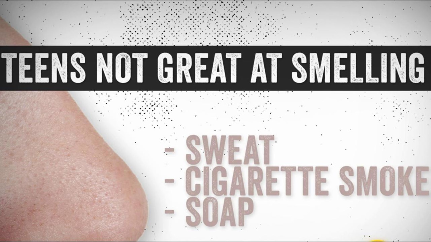smelling cigarette smoke when there is none Revealed at last: Why teens can’t smell their own stench