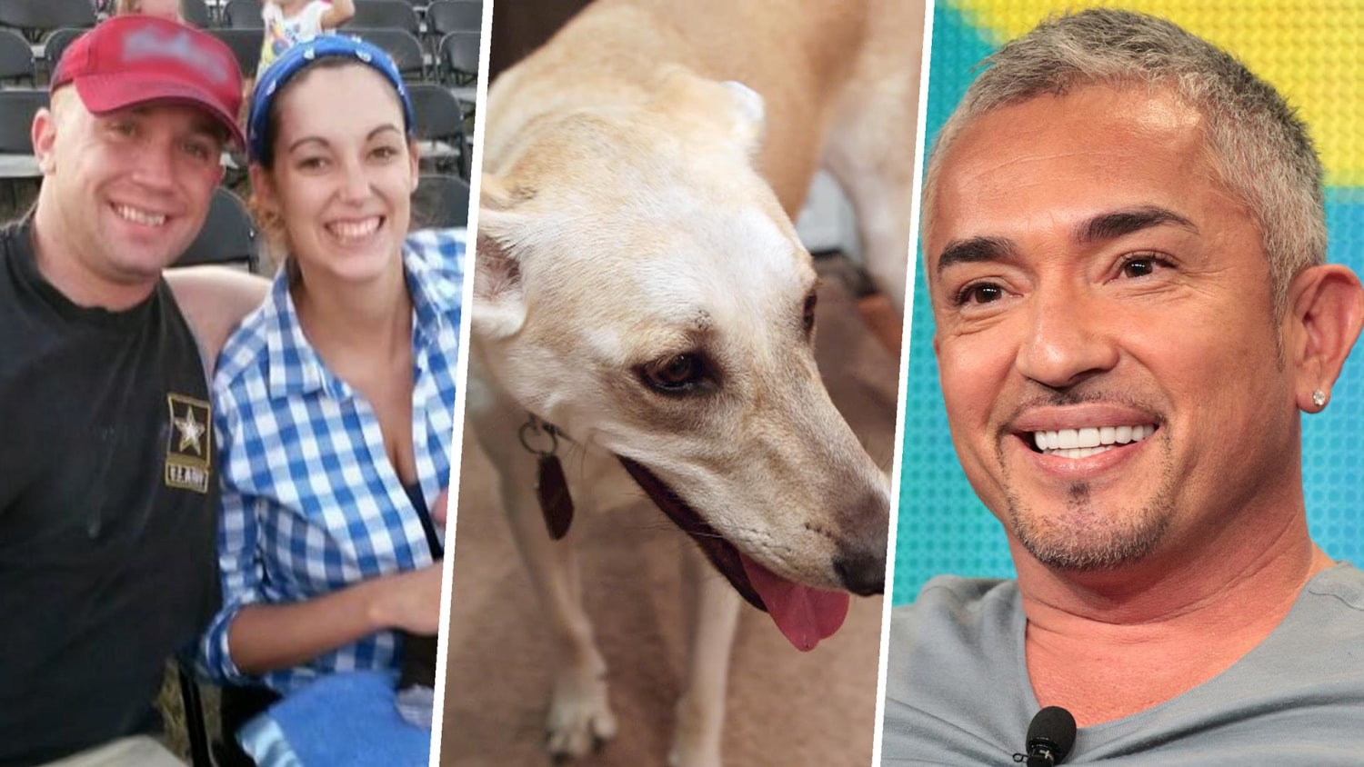 Cesar millan vegan 2025