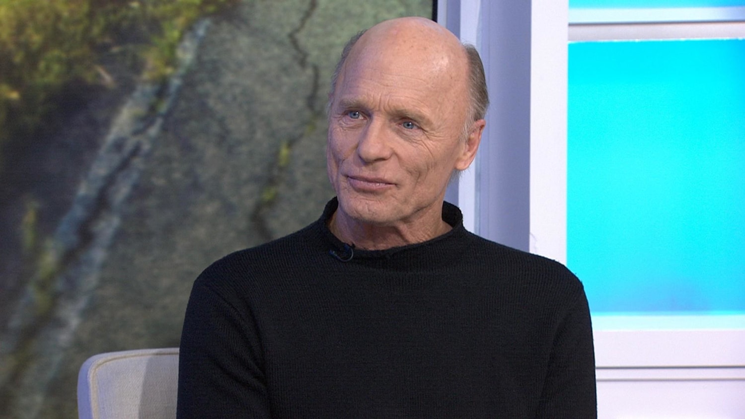 Ed Harris On His 'Extraordinary Experience' Making 'Downtown Owl', image size:1500x844