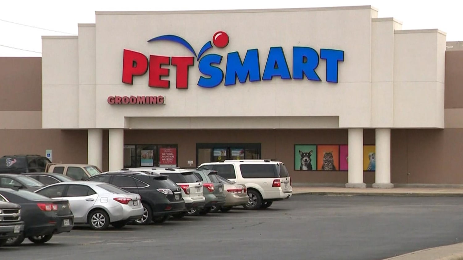 petsmart victoria adoption