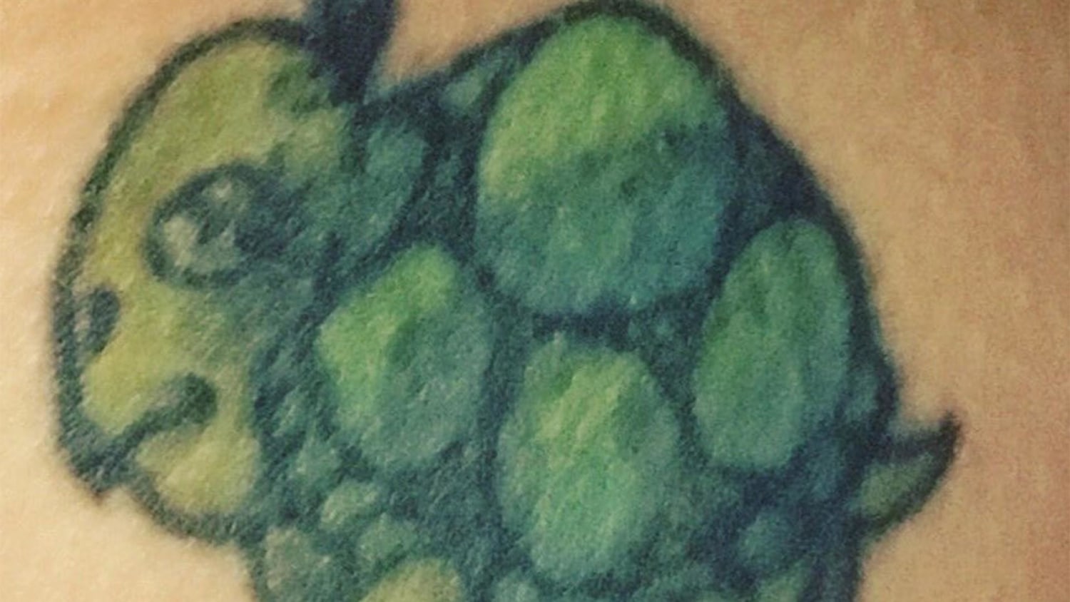 tattoo fading cream reddit
