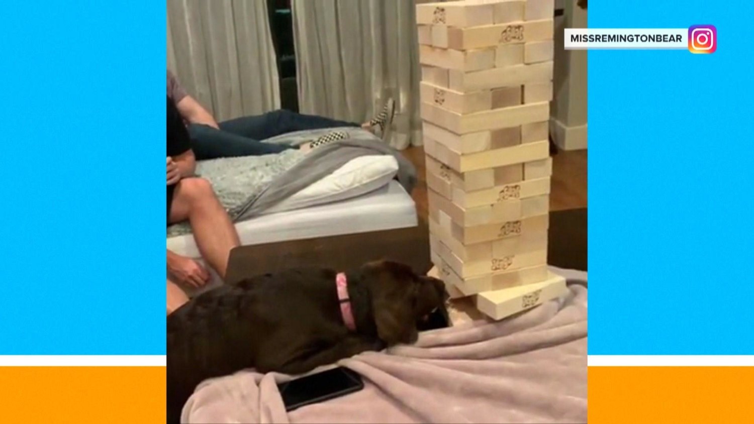 Dog playing jenga on sale