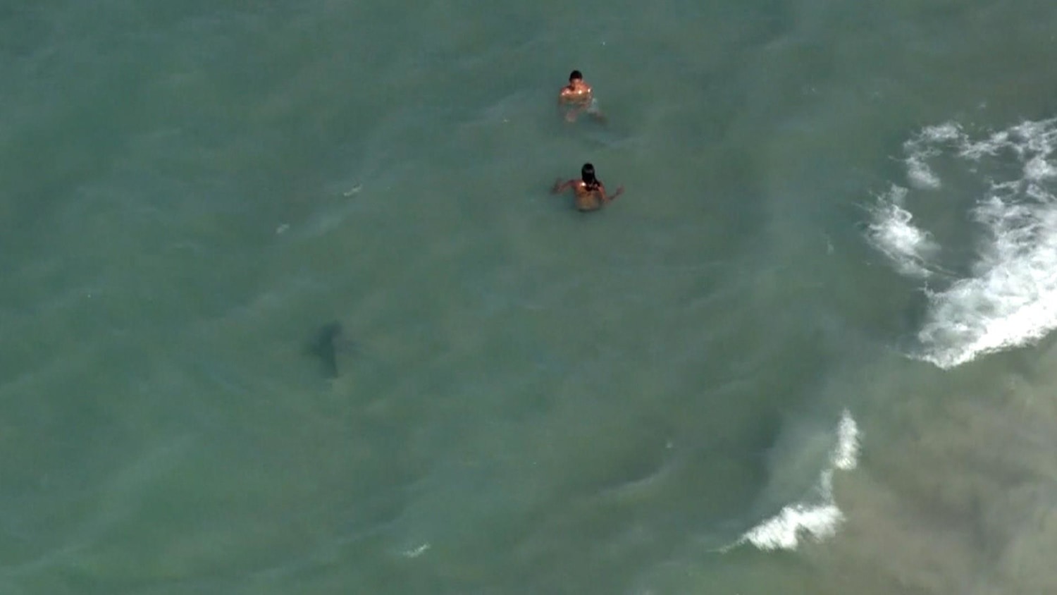 Florida Dad S Chilling Beach Photos Capture Shark Lurking Near His Kids