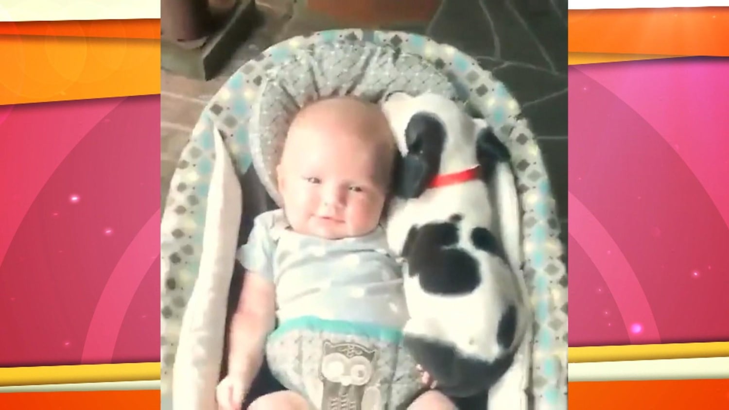 Snuggle sales puppy bouncer