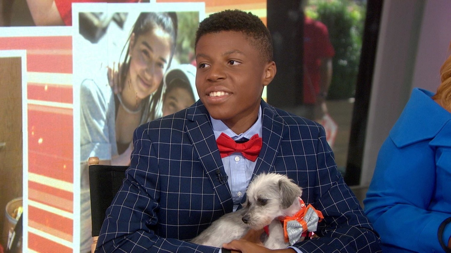 Bow outlet tie pets