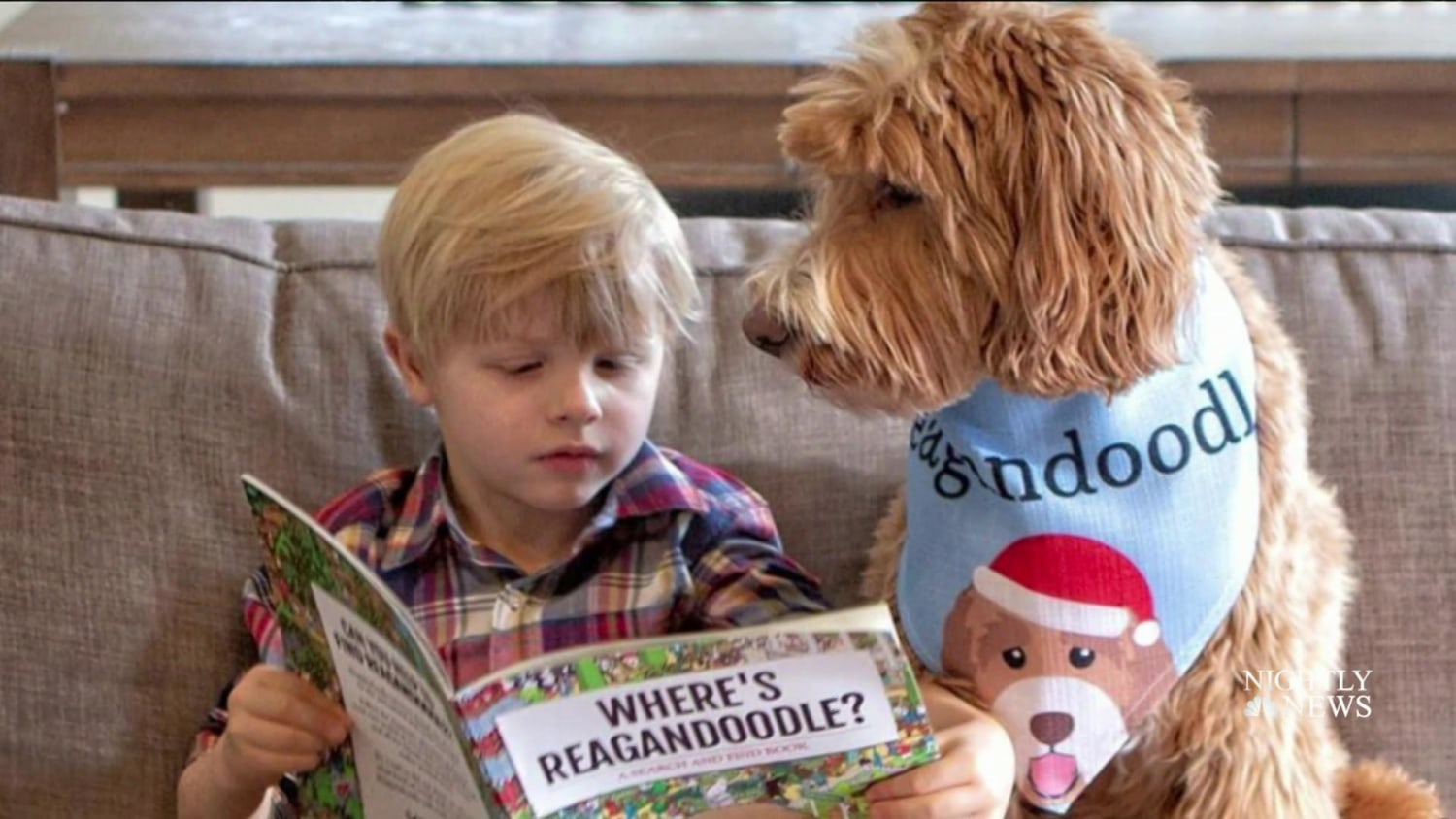 What kind of dog is hot sale reagandoodle