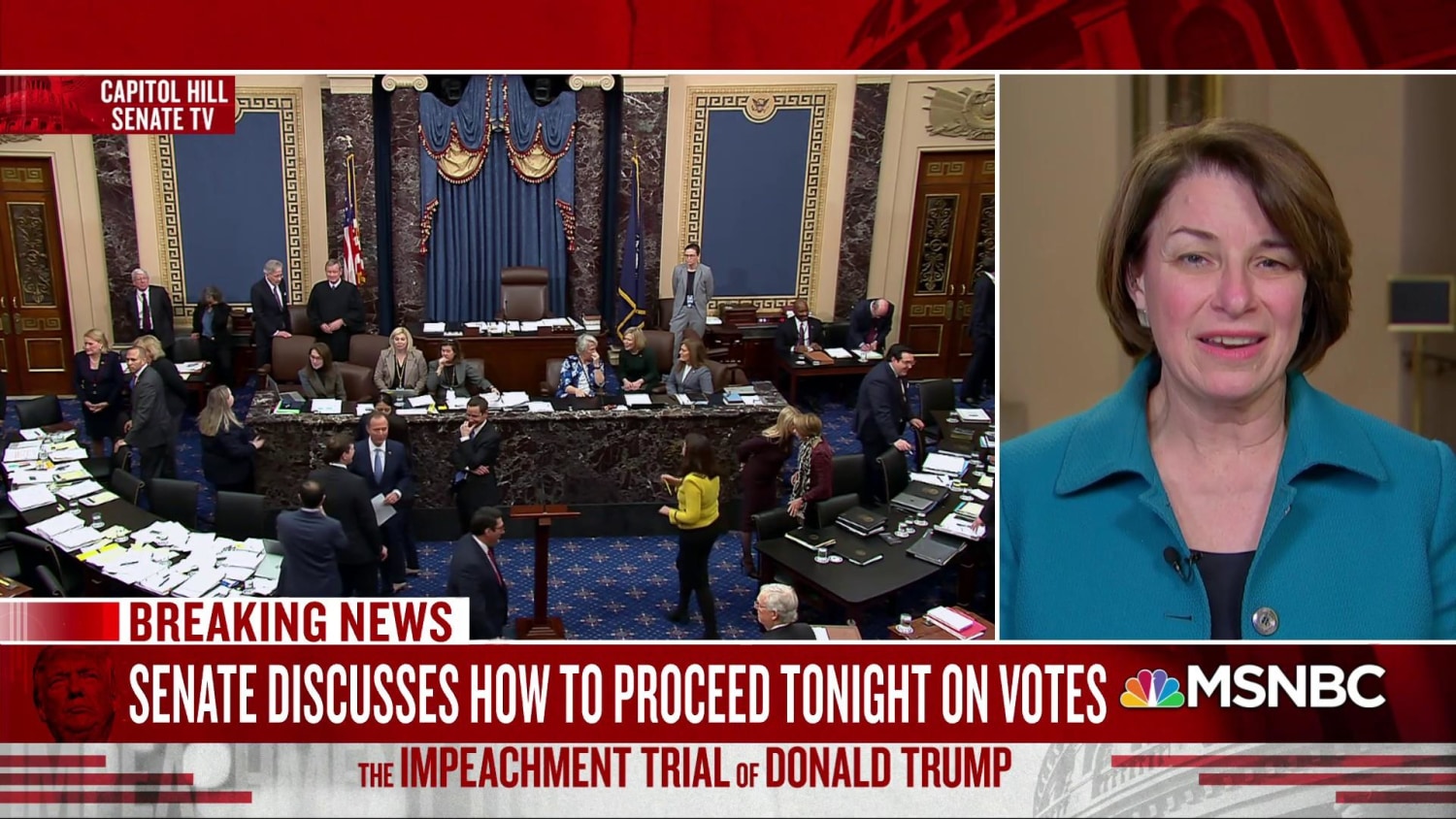 Nadler Rips Trump S Absolute Immunity Defense As Debate Gets Heated