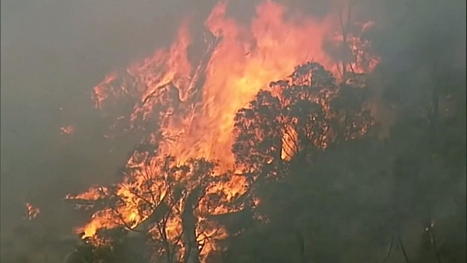 Australia's fires could change the