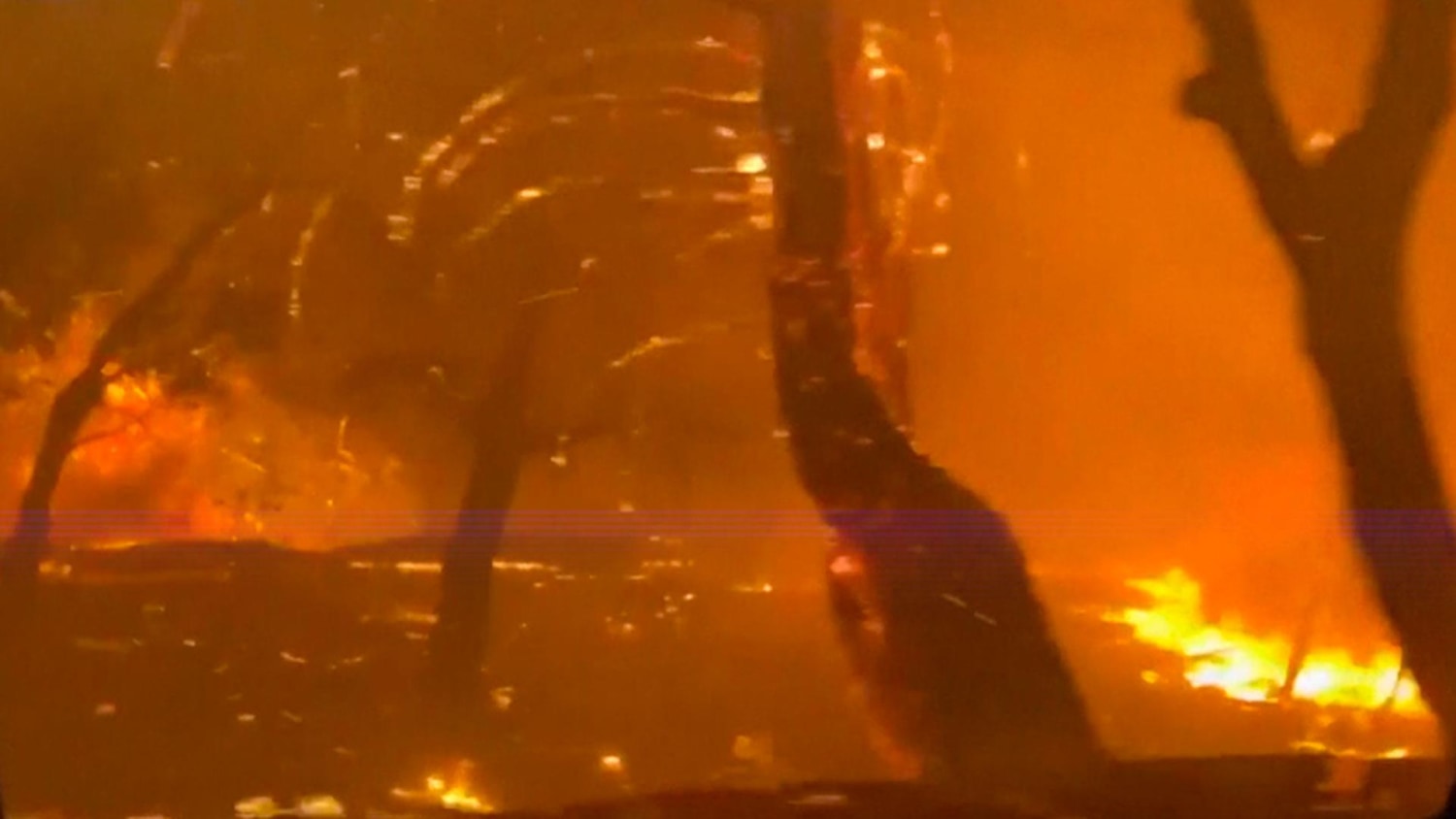 IMAGE: CZU August Lightning Complex