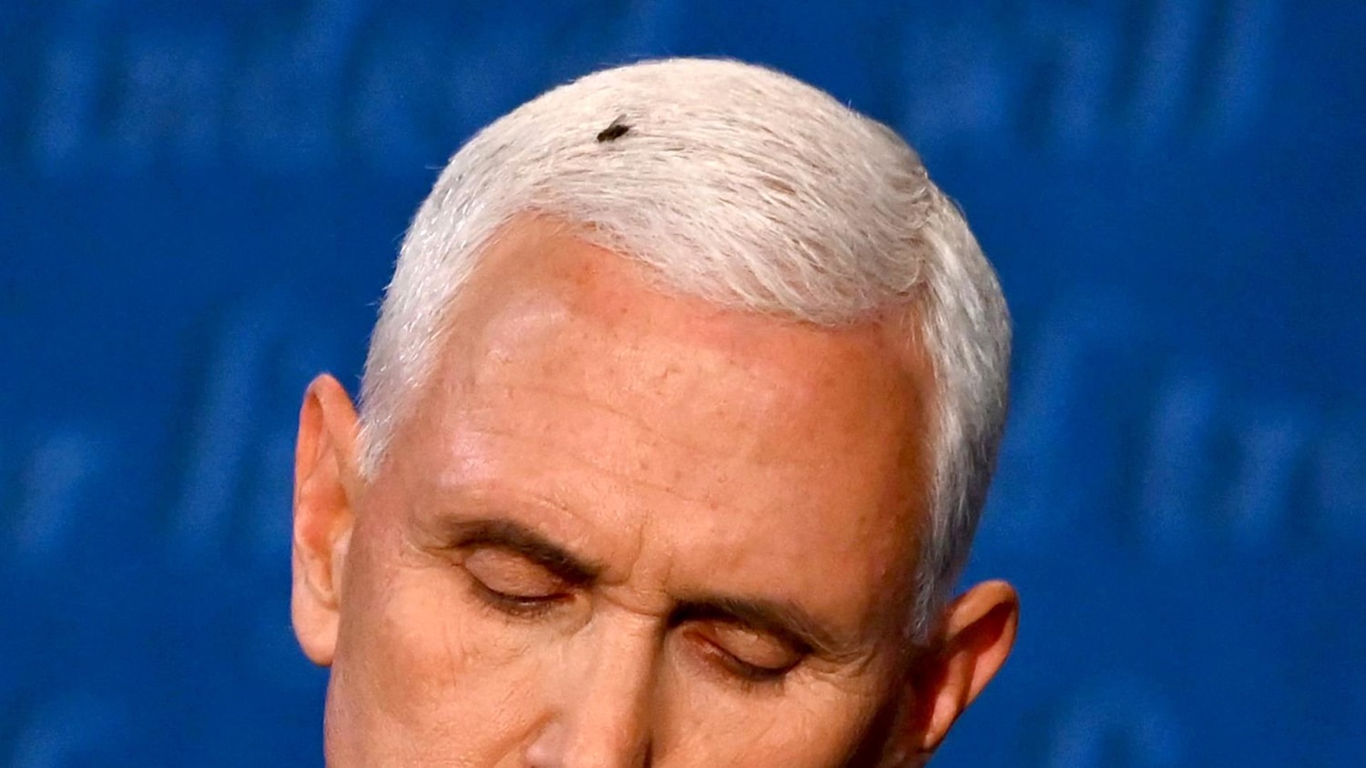 Watch fly land on Pence s head for 2 minutes at vice presidential debate