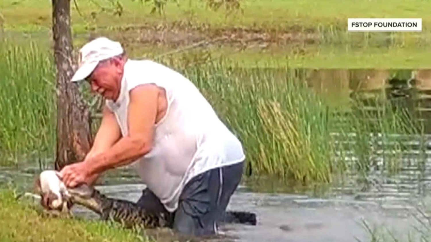 Video shows Florida man rescuing his puppy from alligator attack