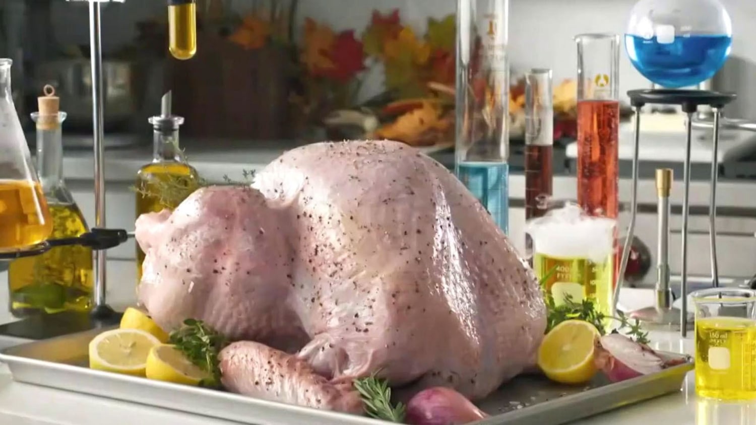 Whole Foods Market Introduces the Thanksgiving Turkey Protection Plan to  “Insure” America's Most Anticipated Meal