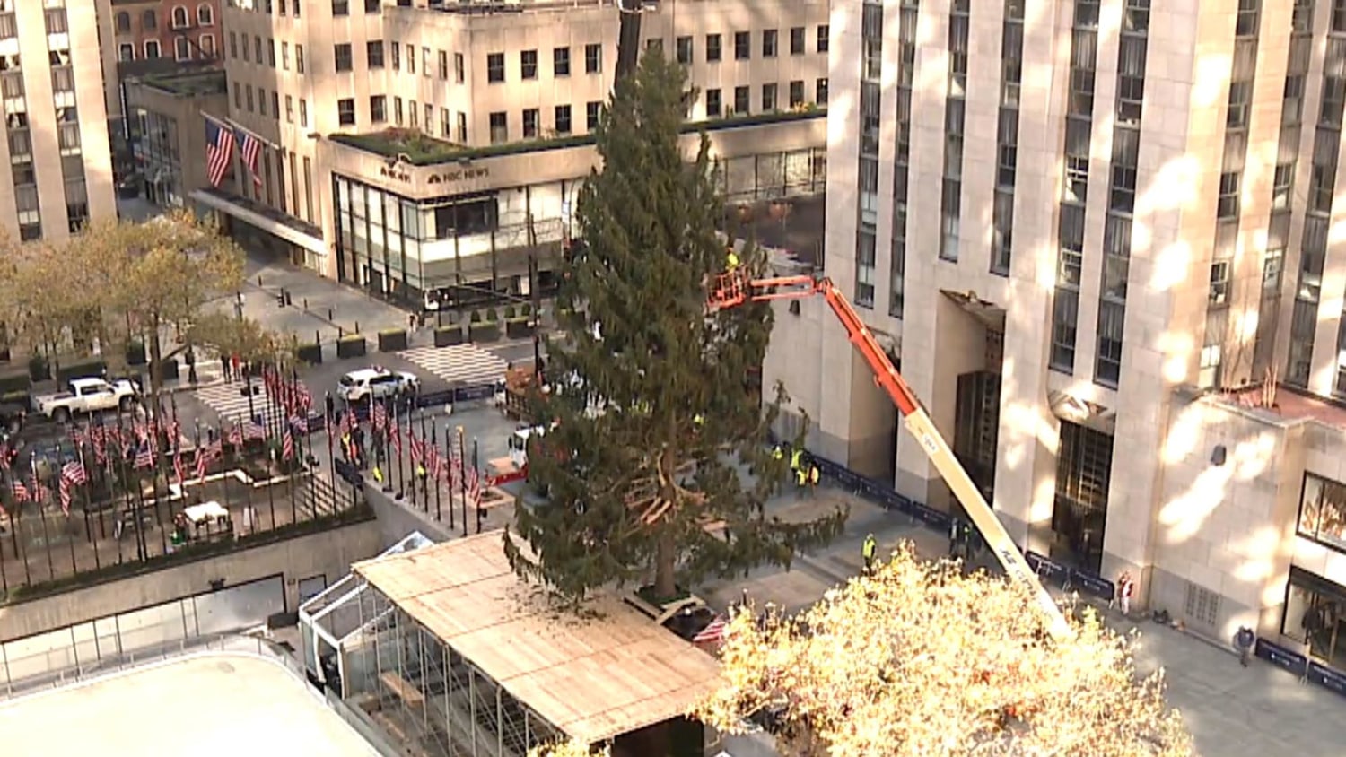 N.Y. Today: A Rockefeller Center Christmas Tree With Bronx Roots - The New  York Times