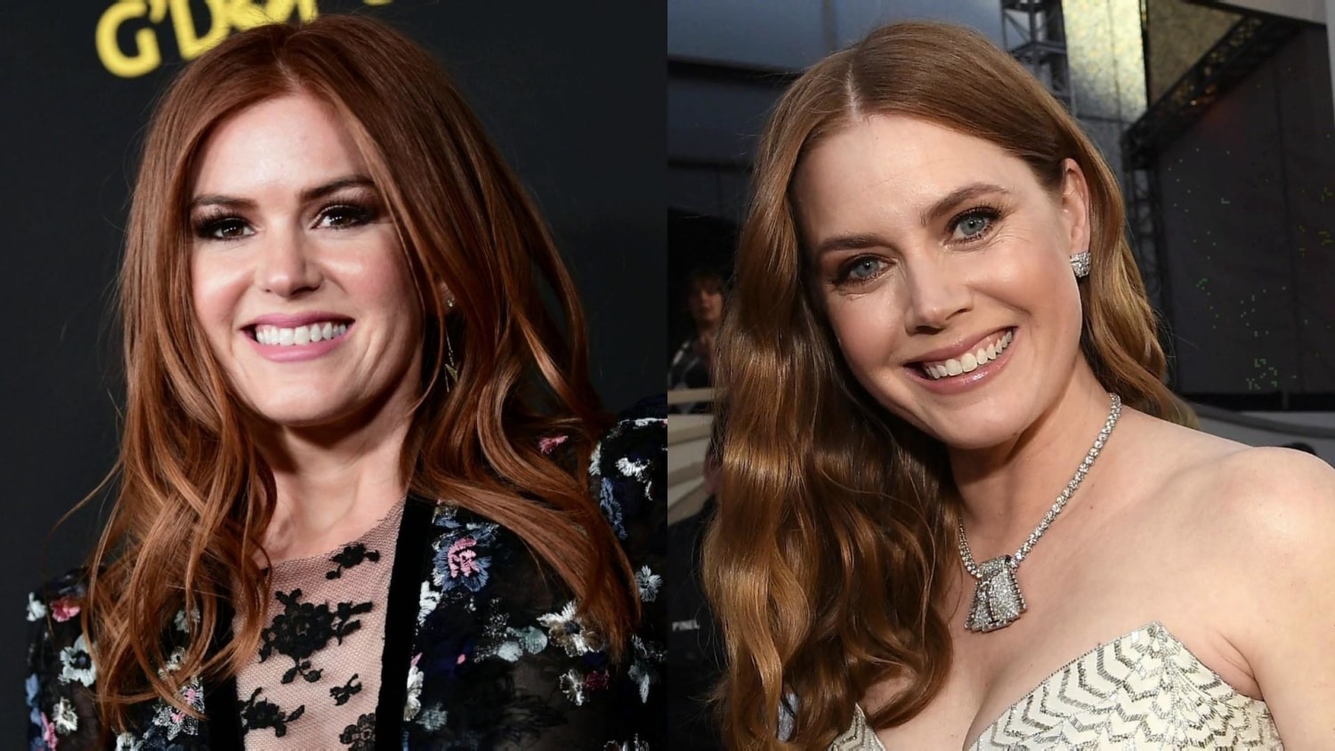 Isla Fisher talks about how she gets mistaken for Amy Adams
