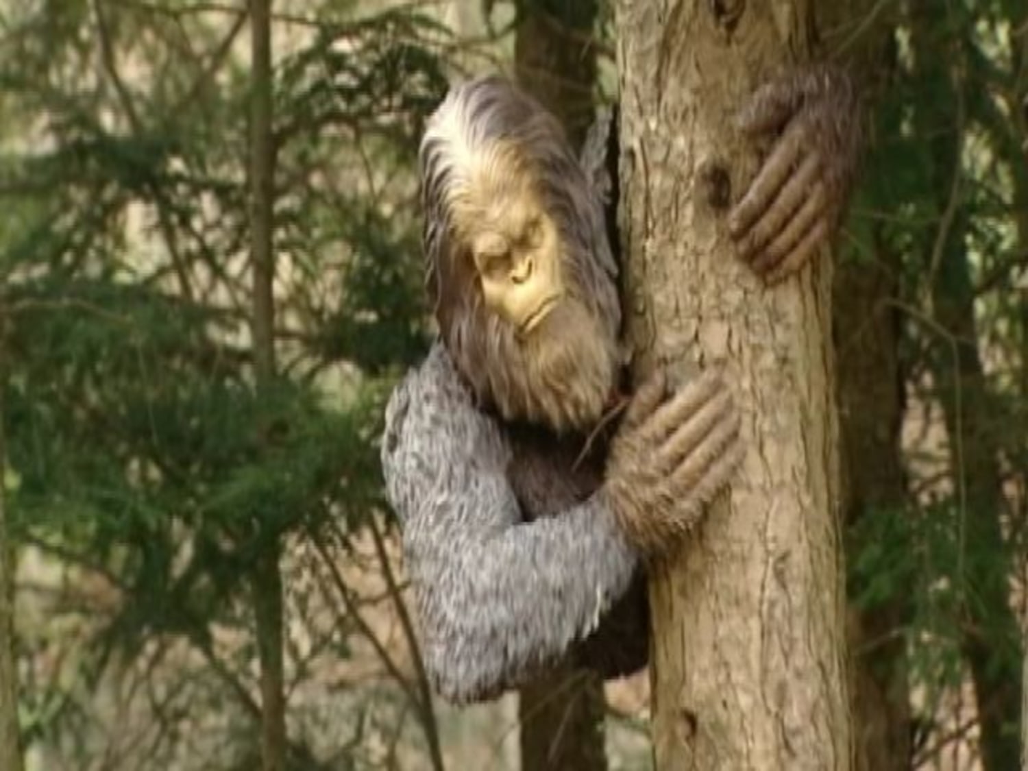 Bigfoot In Vermont?