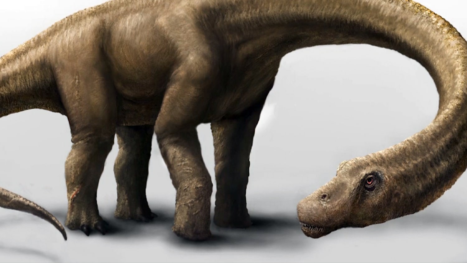 Dreadnoughtus: A New Giant Joins the 'Biggest Dinosaur' Parade