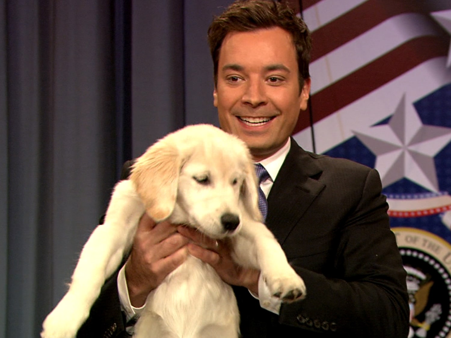 Jimmy Fallon’s puppy, Gary, casts her vote