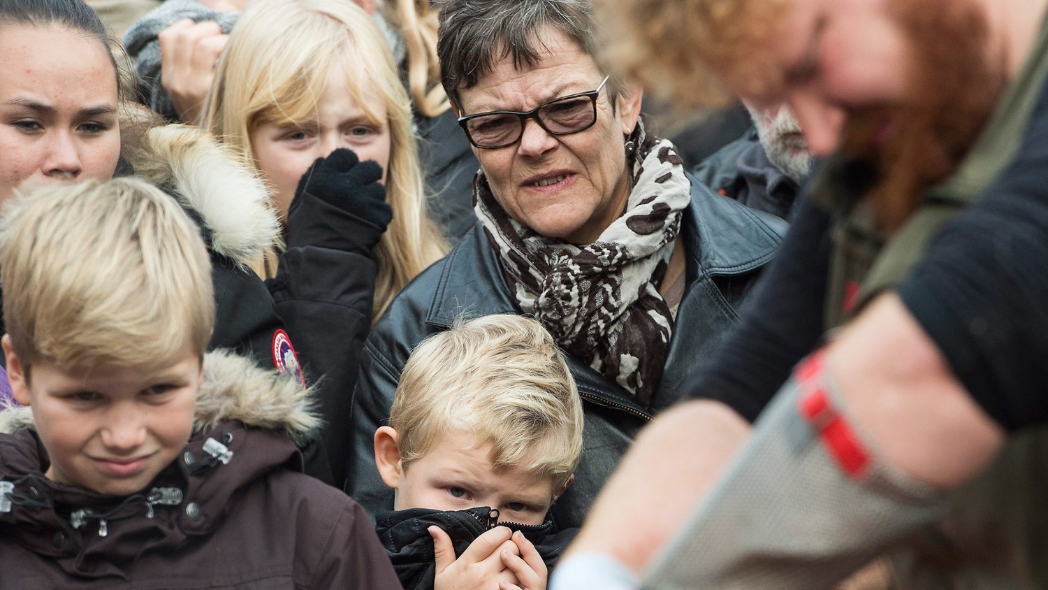 Denmark Zoo Holds Public Dissection After Killing Young Lion