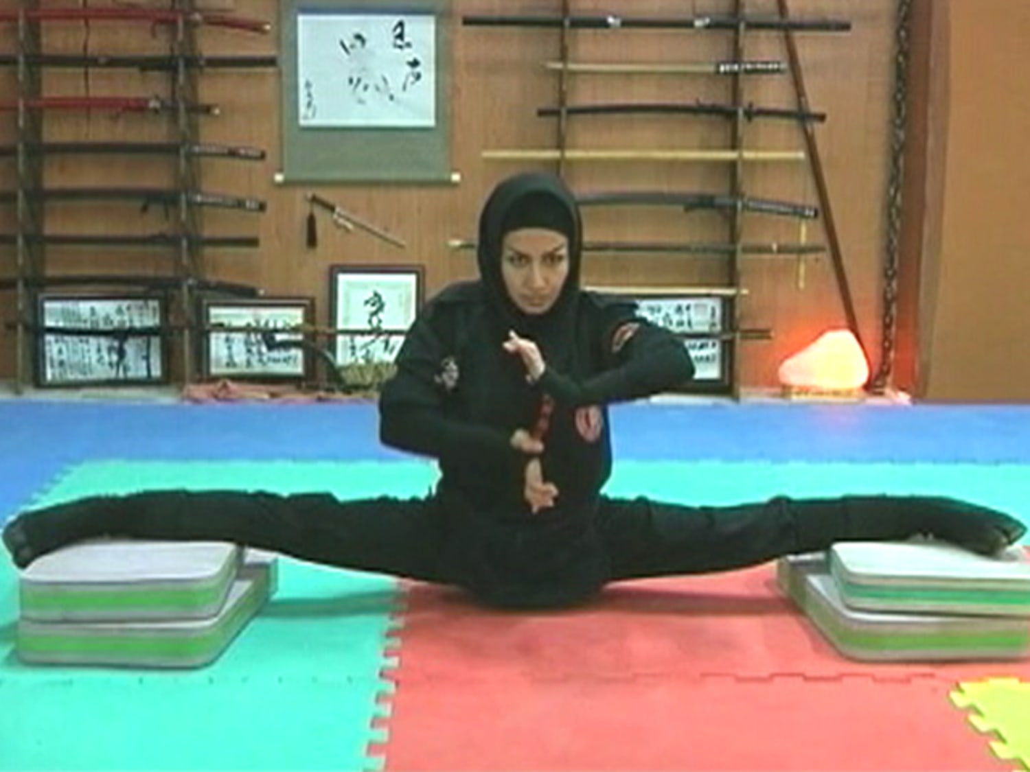 Persian Yoga Fundamentals DVD - Persian Yoga