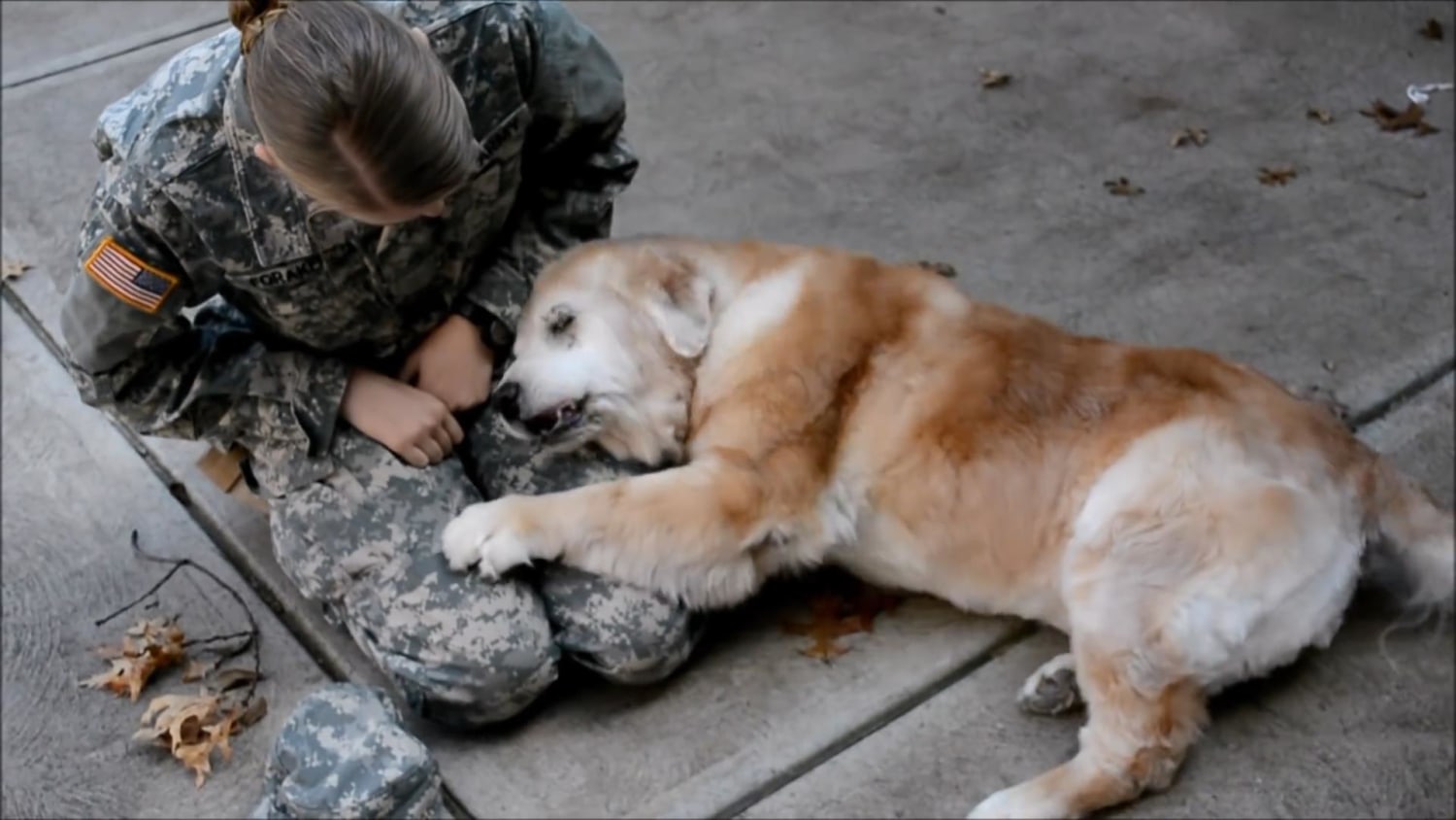 See this golden retriever's emotional reaction when her owner returns home from Army training