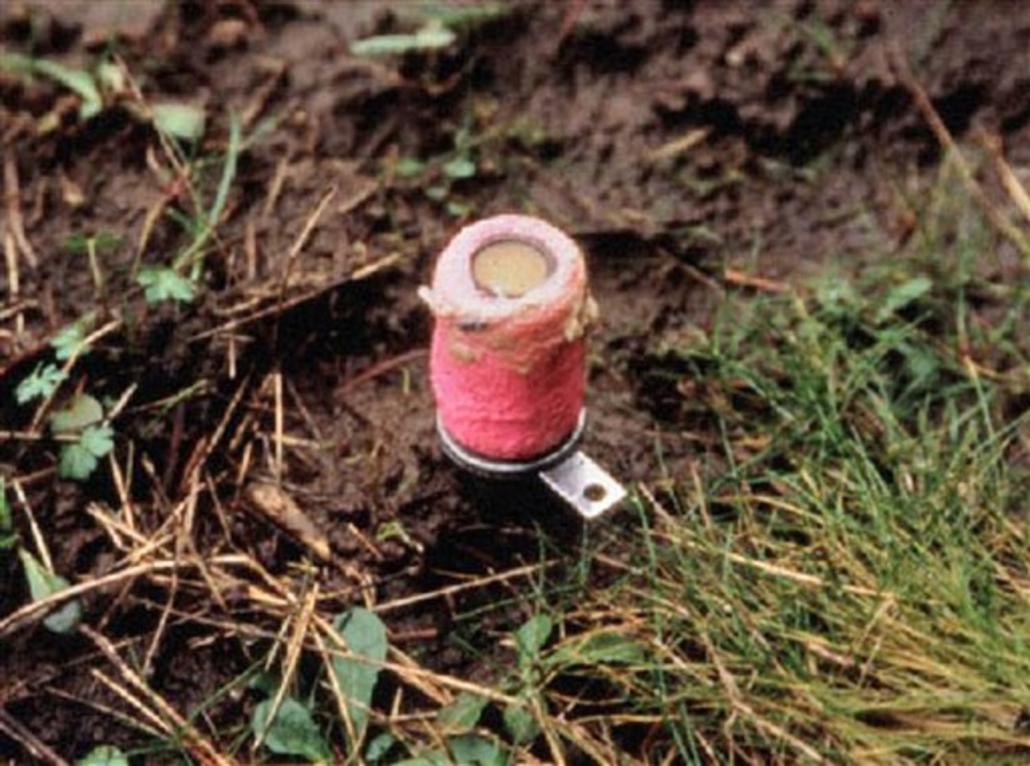 Ban poisons used on farm animal predators?