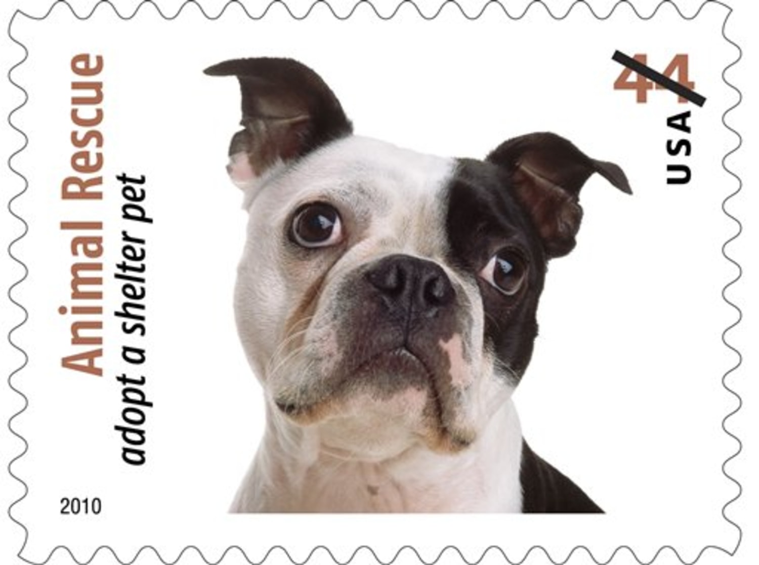 Post office releasing shelter animal stamps