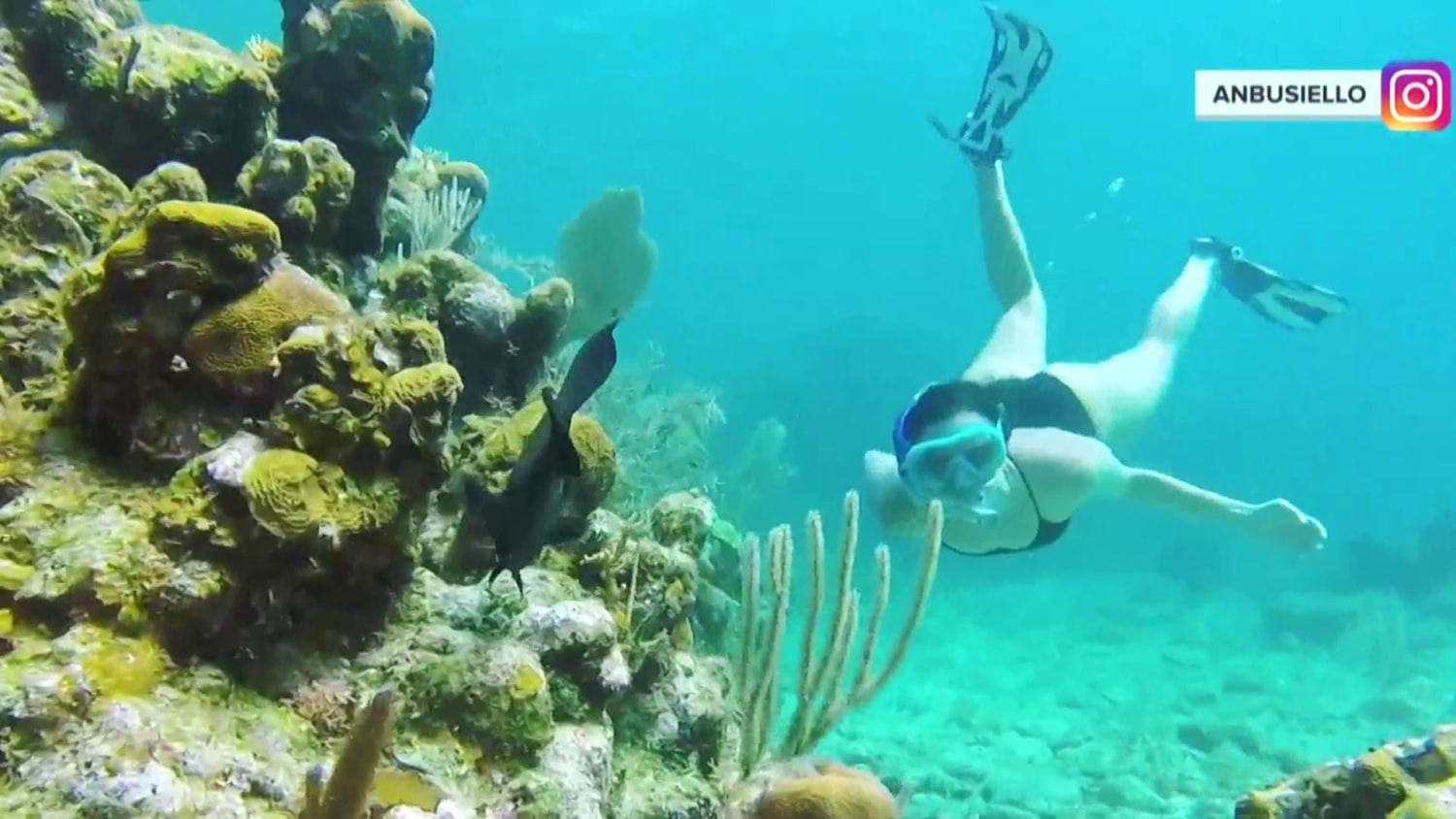 Top Rated Boutique Hotel in Roatán, Bay Islands - Blue Reef
