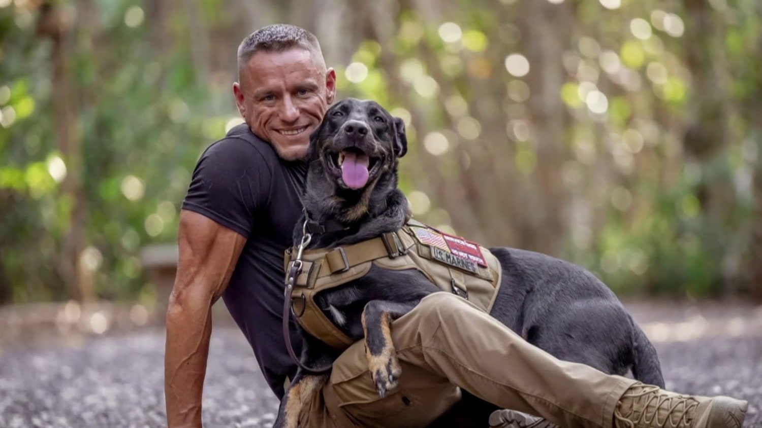 How service dogs are helping veterans cope with PTSD