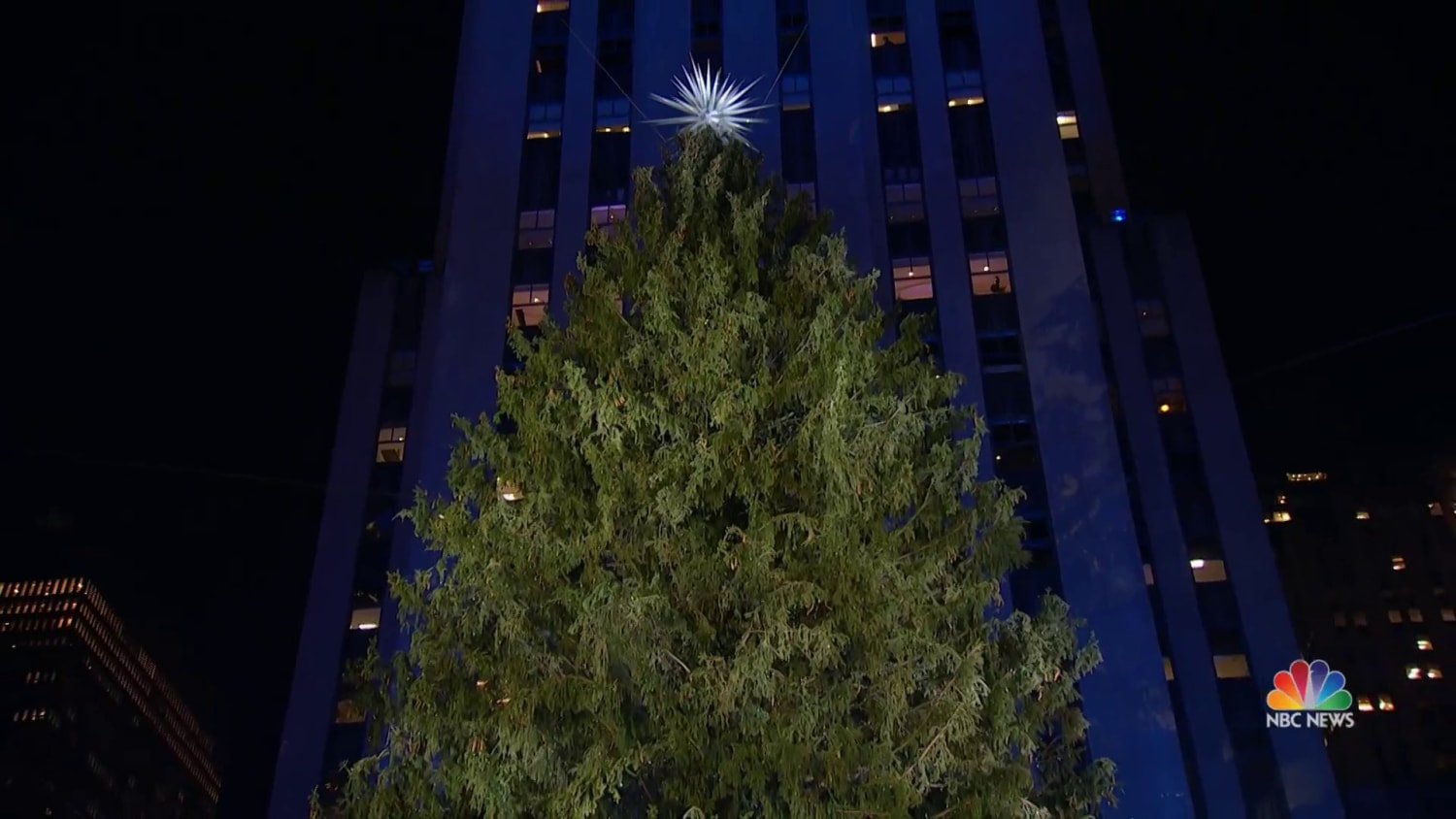 An up close look at this year s Rockefeller Center Christmas Tree