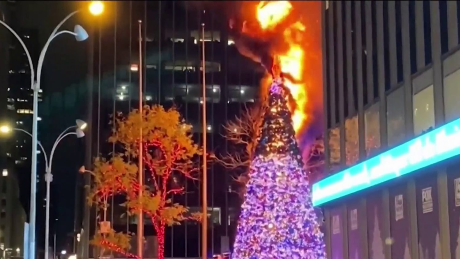 Best nyc christmas tree delivery