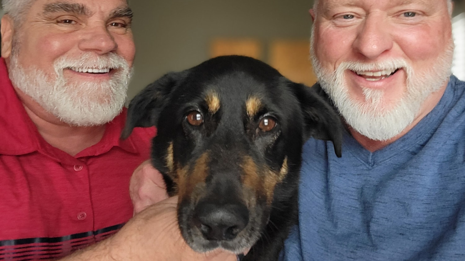 Dog abandoned for being 'gay' is adopted by same-sex couple