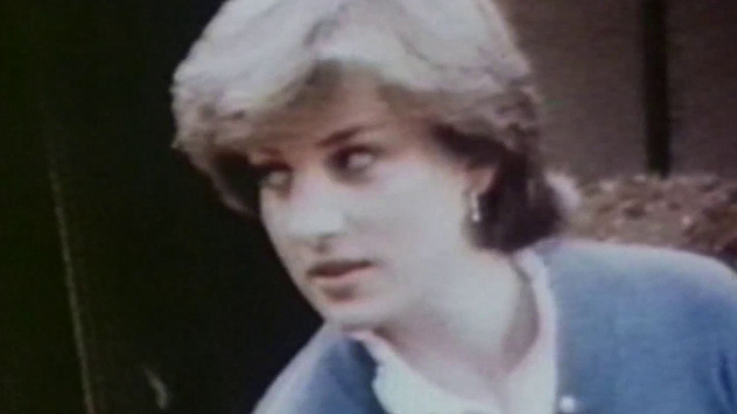 Diana Perkins's Instagram, Twitter & Facebook on IDCrawl