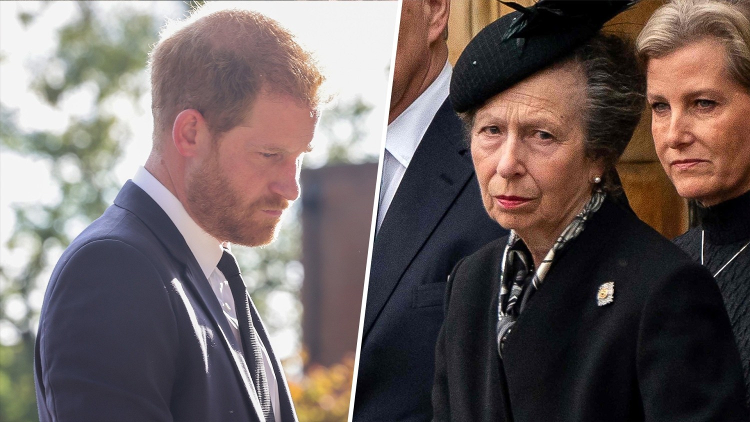 Prince Harry, Princess Anne pay moving tributes to the queen